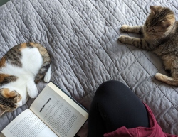 Fundraising Page Image