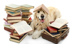 Fundraising Page Image