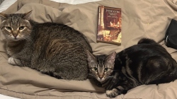 Fundraising Page Image